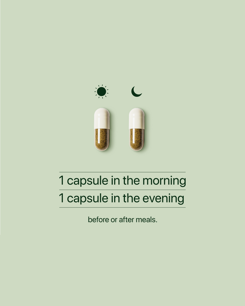 Metabo-101 | Daily Metabolic Support