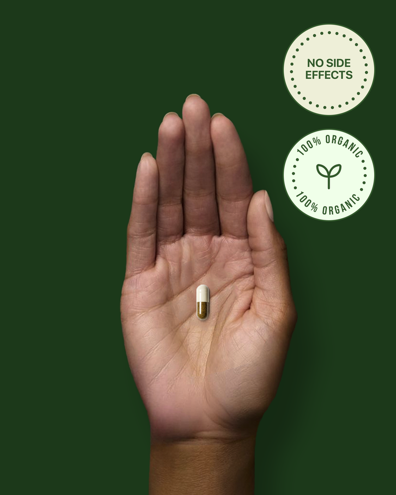 Metabo-101 | Daily Metabolic Support