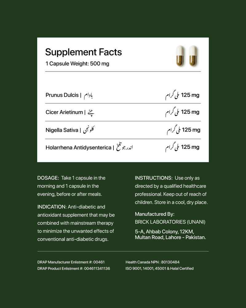 Metabo-101 | Daily Metabolic Support